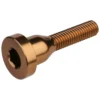 Burgtec Top Cap Bolt -Sramano Tienda burgtec top cap bolt