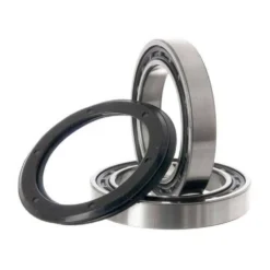 Campagnolo® Ultra Torque Record Bearings