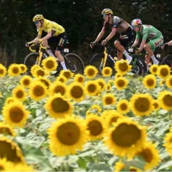 Tapones Manillar Savemybar -Sramano Tienda closethegap tapones manillar savemybar 5